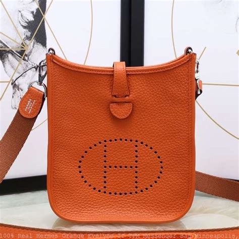 hermes evelyne replica|hermes evelyne alternative.